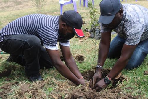 Outreach through Tree Planting Events