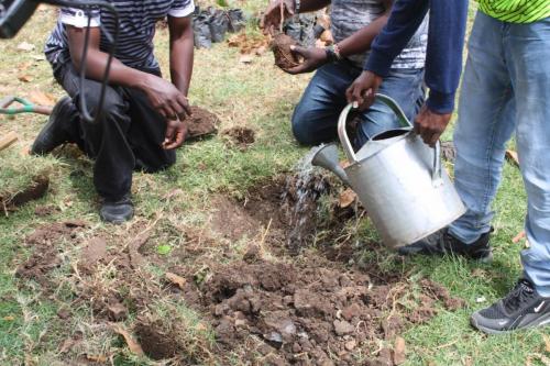 Outreach through Tree Planting Events